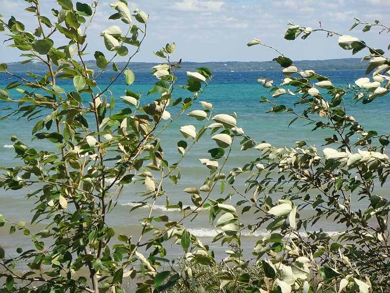 Western Michigan [2010] 566.JPG - Scenes from our trip to Western Michigan. Some places along the way were Ludington, Sleep Bear Dunes, and Traverse City.